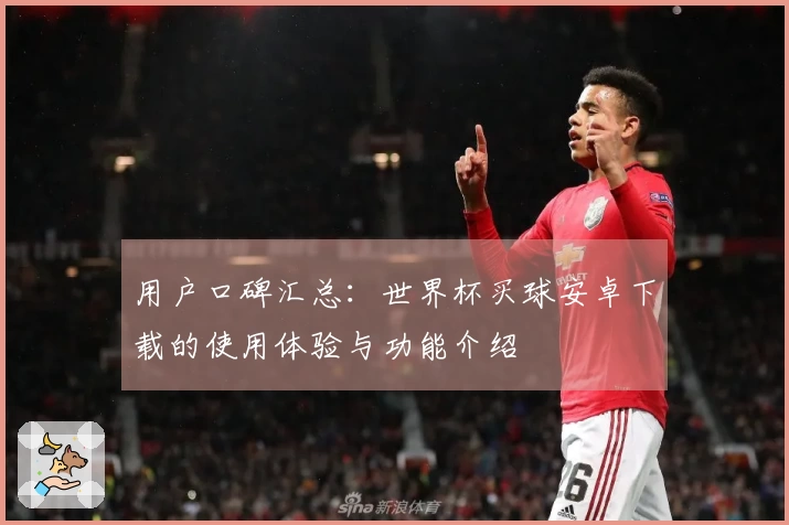 用户口碑汇总：世界杯买球安卓下载的使用体验与功能介绍