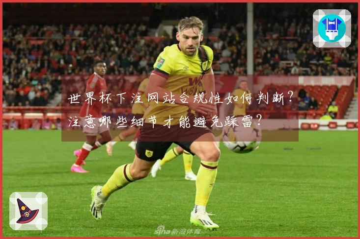 世界杯下注网站合规性如何判断？注意哪些细节才能避免踩雷？