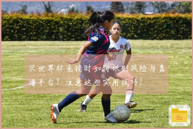 买世界杯竞猜时如何识别风险与靠谱平台？注意这些实用技巧！