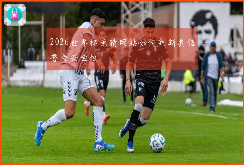 2026世界杯竞猜网站如何判断其信誉与安全性？