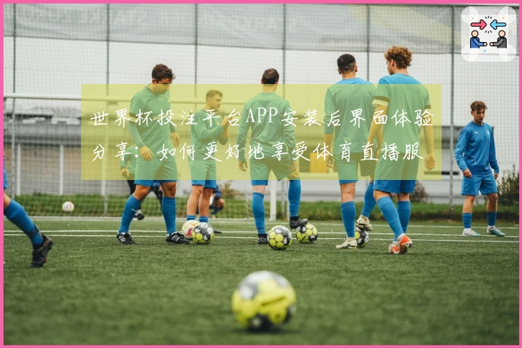 世界杯投注平台APP安装后界面体验分享：如何更好地享受体育直播服务