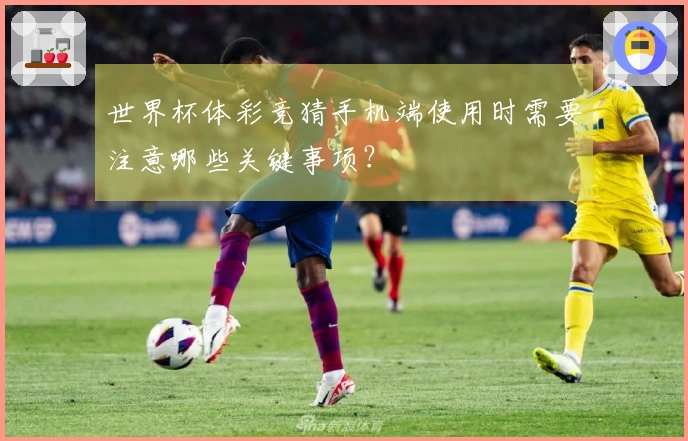 世界杯体彩竞猜手机端使用时需要注意哪些关键事项？