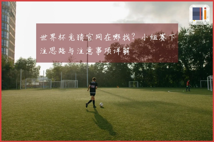 世界杯竞猜官网在哪找？小组赛下注思路与注意事项详解