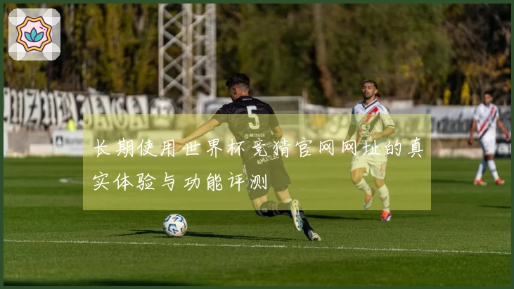 长期使用世界杯竞猜官网网址的真实体验与功能评测