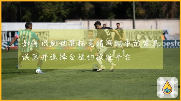 如何识别世界杯竞猜网站中的常见误区并选择合适的投注平台