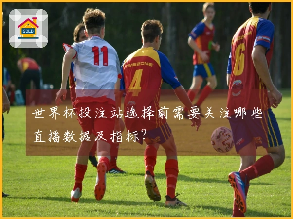 世界杯投注站选择前需要关注哪些直播数据及指标？