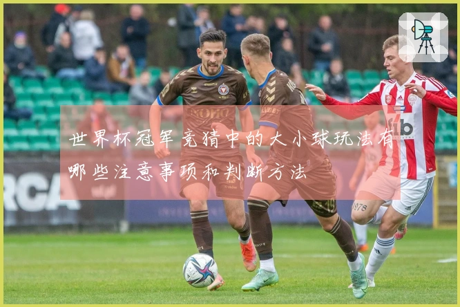 世界杯冠军竞猜中的大小球玩法有哪些注意事项和判断方法