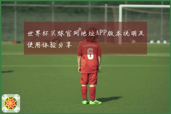 世界杯买球官网地址APP版本说明及使用体验分享