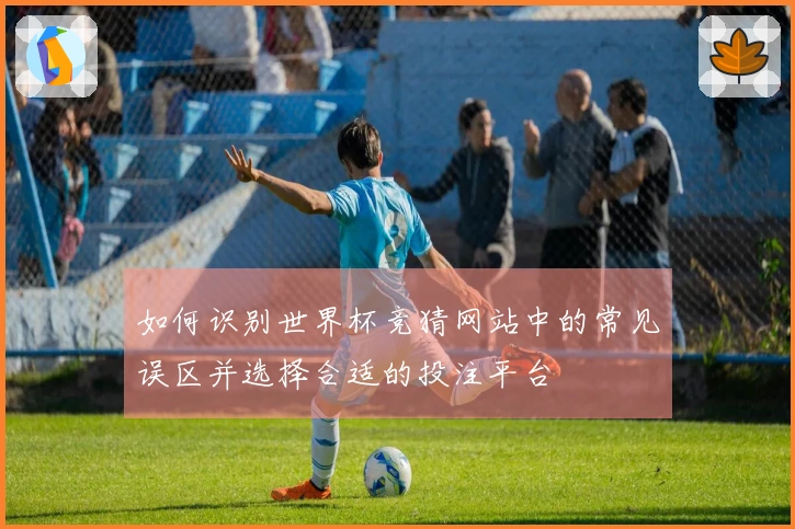如何识别世界杯竞猜网站中的常见误区并选择合适的投注平台