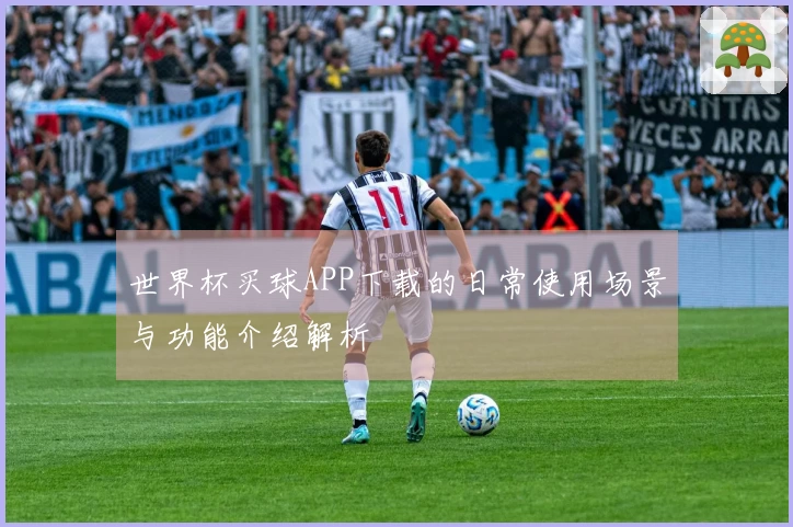 世界杯买球APP下载的日常使用场景与功能介绍解析