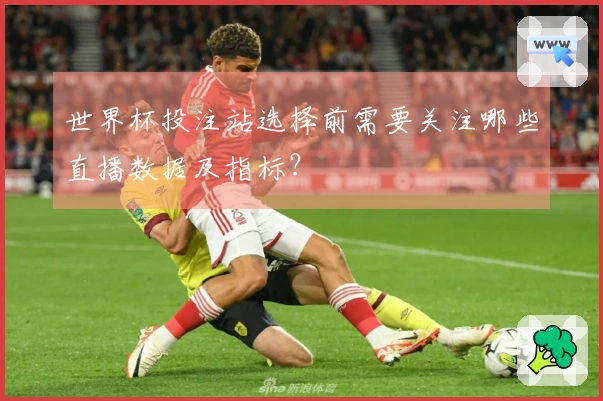 世界杯投注站选择前需要关注哪些直播数据及指标？